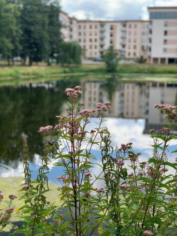 Europa22 Apartament "Sen Jak W Pieciogwiazdkowym Hotelu" - Centrum Miasta Tomaszów Mazowiecki Kültér fotó